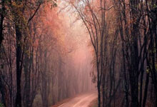 征途国际官网：澳大利亚国门马修-瑞恩上演超巨失误：禁区左右互博脚下拌蒜送大礼308.