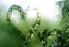 征途国际官网：[网球]林赛·沃恩回应“高龄复出”质疑.